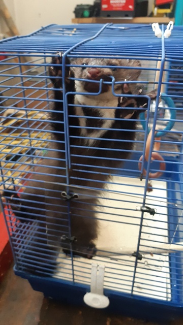 20220519_151817_resized groß.jpg